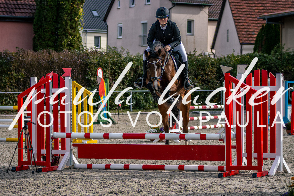 IMG_5484 | Erleben Sie dynamische Sport- und emotionale Tierfotografie in Süddeutschland mit Fotos von Paula. Spezialisiert auf Pferde- und Hundefotografie sowie Sportevents. Kontaktieren Sie mich für einzigartige und ausdrucksstarke Bilder Ihrer besonderen Momente. - Realisiert mit Pictrs.com