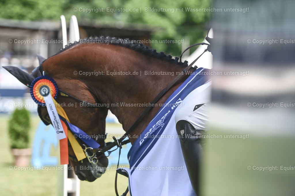 20230529_18_CSI4_Obermayr_0161 | equistock