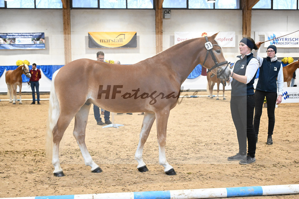 Kat-Nr. 31 Weinbrand v. Weingold S_Brugger_48254161 | hf-fotografie - Realisiert mit Pictrs.com