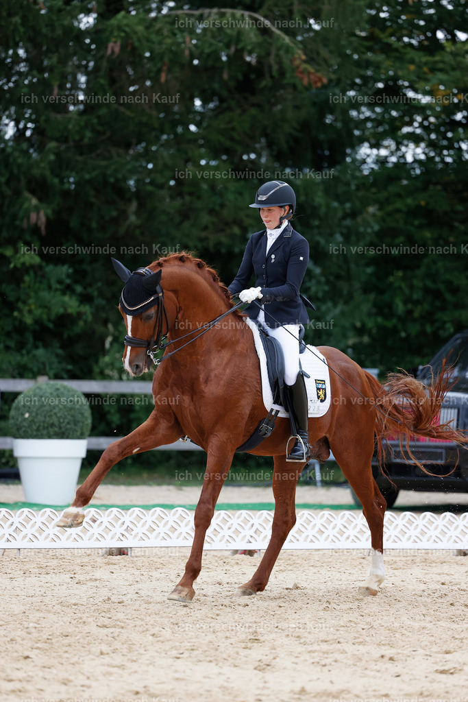 04_2-223-Dressur M__ -StoibPH-2970 | working equitationturnier fotograf videograf stoibphotography marixx film working equitation deutschland reitsport turnierfotografie eventfotografie equestrian events