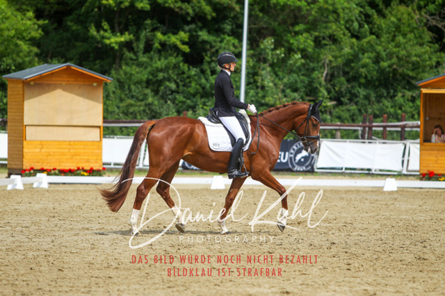 DKP45770 | Turniersportfotografie; Pferdefotografie; Dressurfotografie