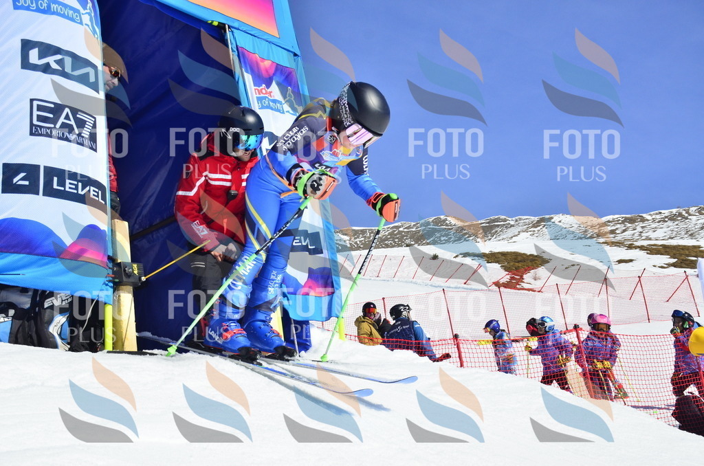 _ELE9970 | holidayphoto