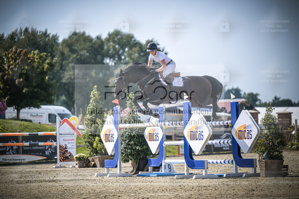 DOS_3732 | Entdecke hochwertige Reitturnierfotos von Foto Oger. Professionell, emotional und authentisch – jetzt Lieblingsmomente im Shop bestellen. - Realisiert mit Pictrs.com