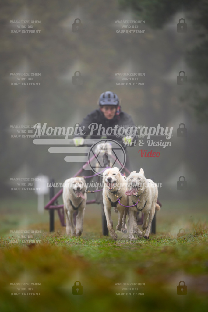 MompixPhotography_Bischwiller2025_Kart-3 | mompixphotography