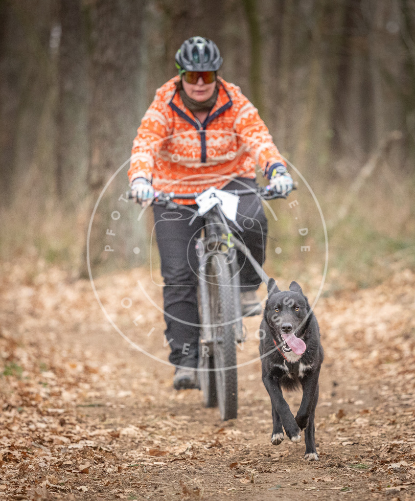 Pfotenfotografie_DV3A6425 | Hundefotografie, Tierfotograf, Pfotenfotografie, Fotoshooting Hund, Hunde Portrait, Hundesport, Hundeportraits, Heideshooting, Hunde, Sportfotograf, Hundefotograf, Turnierhundsport, THS,  - Realisiert mit Pictrs.com