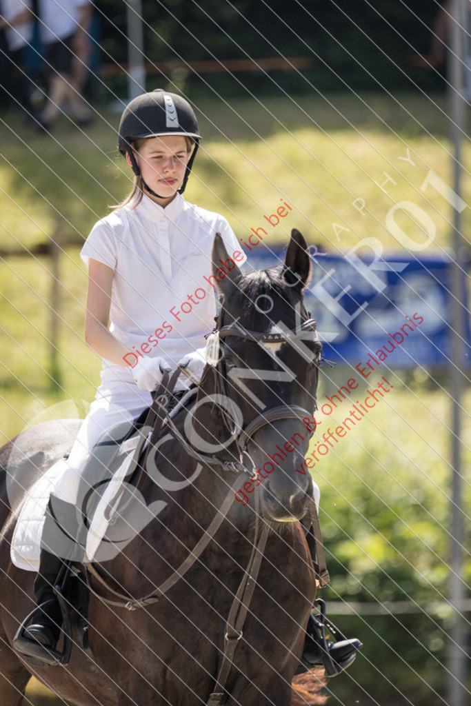 IMG_4688 | Sport-, Event- und Tierfotos in Profiqualität. Einfach auswählen, bestellen und herunterladen. Dein Moment – perfekt festgehalten.