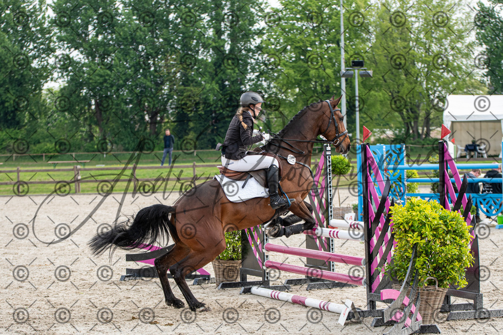 KPT_1952 | andre_photographic