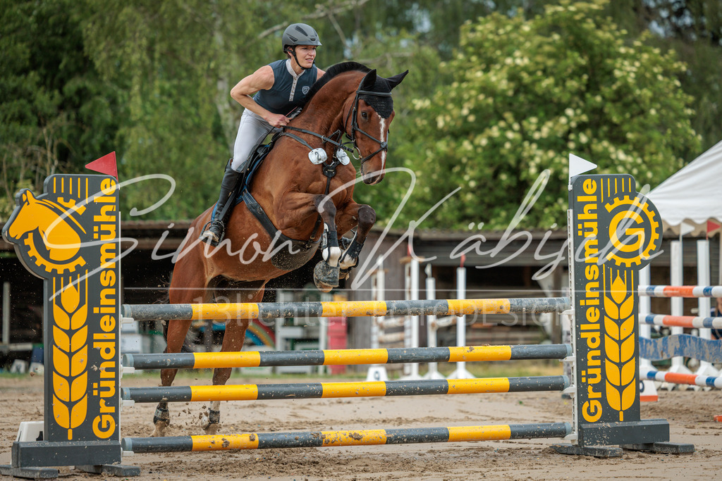 20260530-_3LI2337 | Tierfotografie Pferde, Hunde, Katzen, Haustiere.
Turnierfotografie Reitturniere, Reiten, Springreiten, Dressur in Hanau, dem Main-Kinzig-Kreis und dem Rhein-Main- Gebiet um Frankfurt