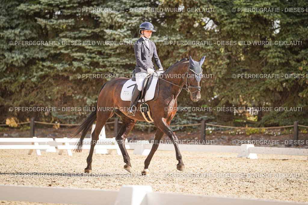 DSC00694 | Pferdegrafie