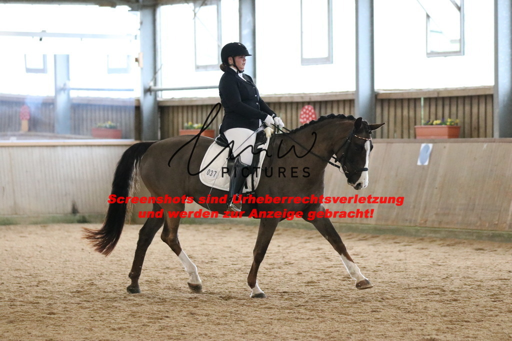 IMG_6526 | lmwpictures - Realisiert mit Pictrs.com