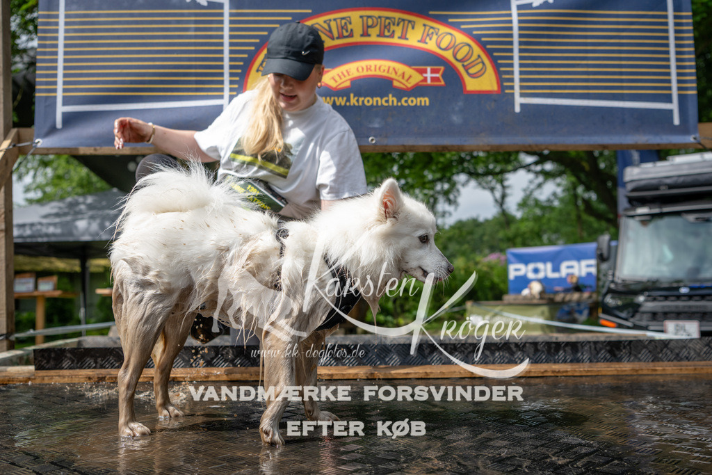 1027_ZZ90790 | kk-dogfotos