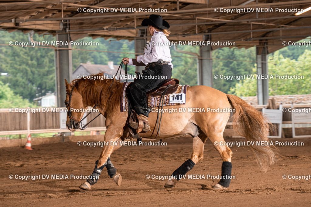 Erbach Tag 2-765 | dv-media-shop - Realisiert mit Pictrs.com