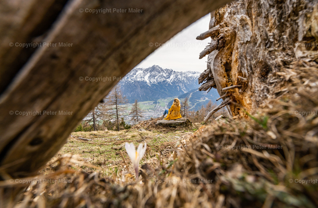 Zettersfeld_Frühling-36 | piet_flosse