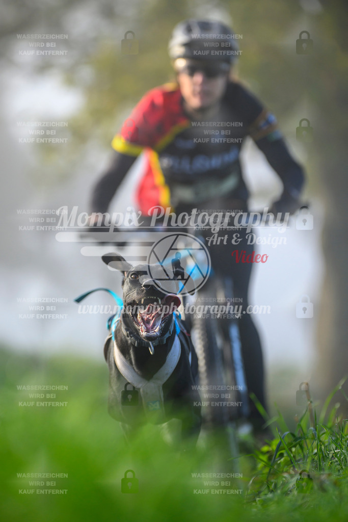 MompixPhotography_20TSB_E3_Bike-114 | PayLife