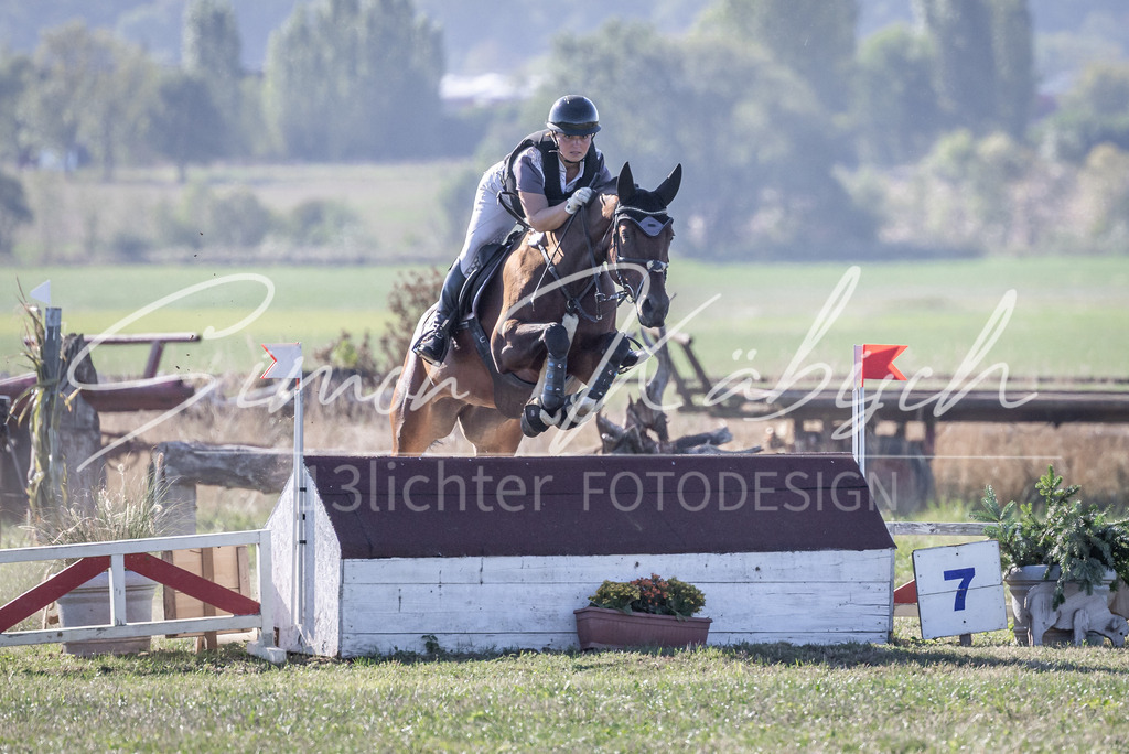 20260906-_3LI1993 | Tierfotografie Pferde, Hunde, Katzen, Haustiere.
Turnierfotografie Reitturniere, Reiten, Springreiten, Dressur in Hanau, dem Main-Kinzig-Kreis und dem Rhein-Main- Gebiet um Frankfurt
