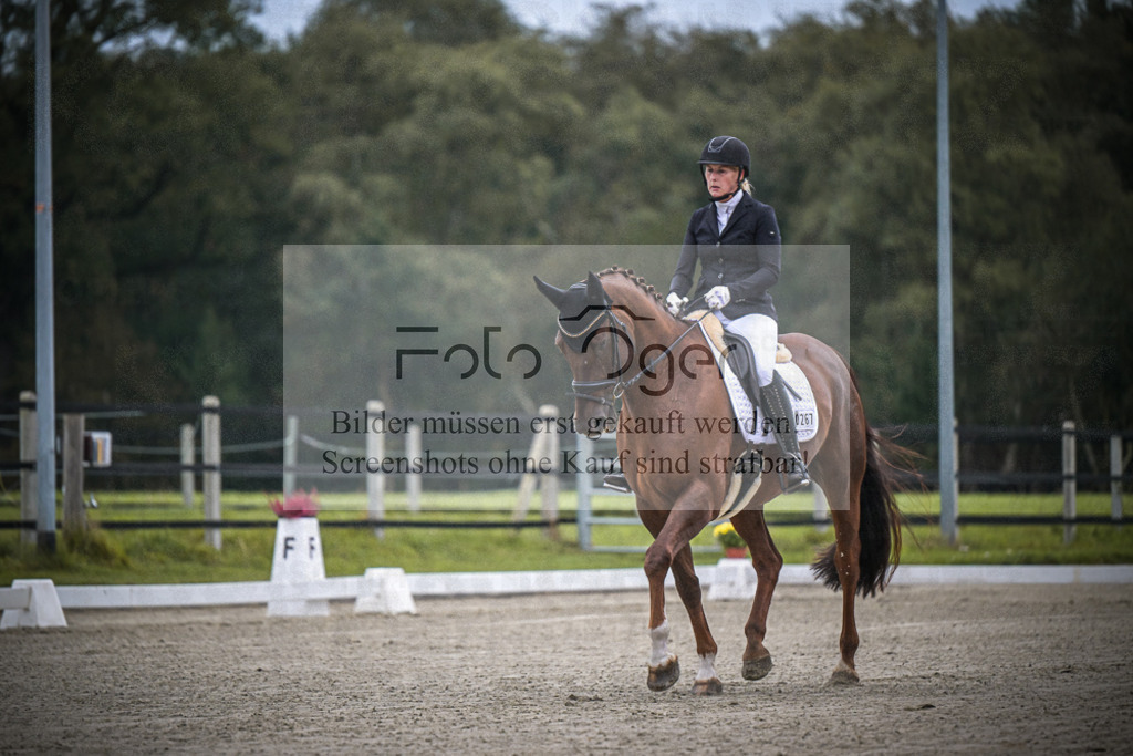 DOS_0215 | Entdecke hochwertige Reitturnierfotos von Foto Oger. Professionell, emotional und authentisch – jetzt Lieblingsmomente im Shop bestellen.Deutschlandweite Turnierfotografie. - Realisiert mit Pictrs.com