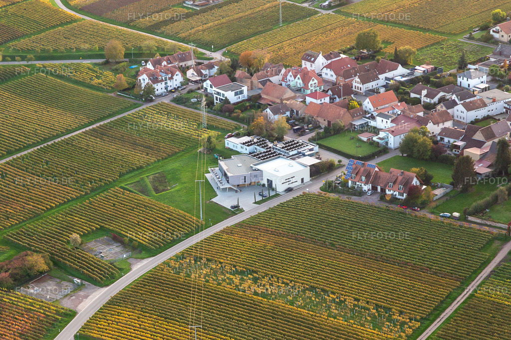 Luftbild: Vinothek Weingut Sauer in Nußdorf im Ortsteil Nußdorf in Landau im Bundesland Rheinland-Pfalz in Deutschland. Foto: IMG_135148.jpg vom 22.10.2022 durch Werner Riehm/FLY-FOTO.deWeingut Sauer: Ihr Winzer in Landau-Nußdorf