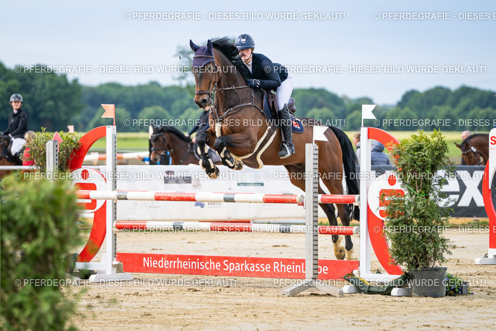 DSC03565 | Pferdegrafie