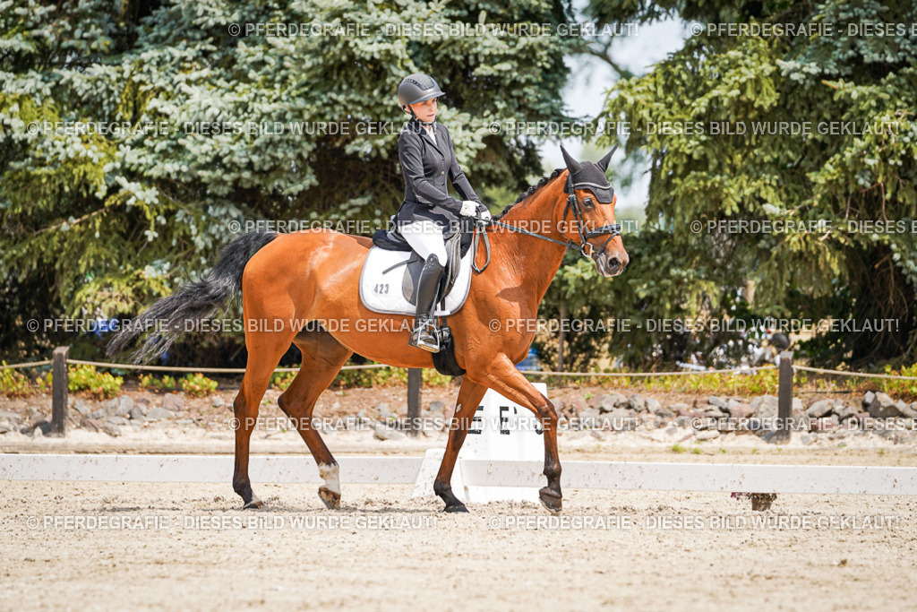 DSC03357 | Pferdegrafie