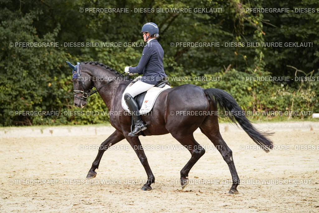 DSC01031 | Pferdegrafie