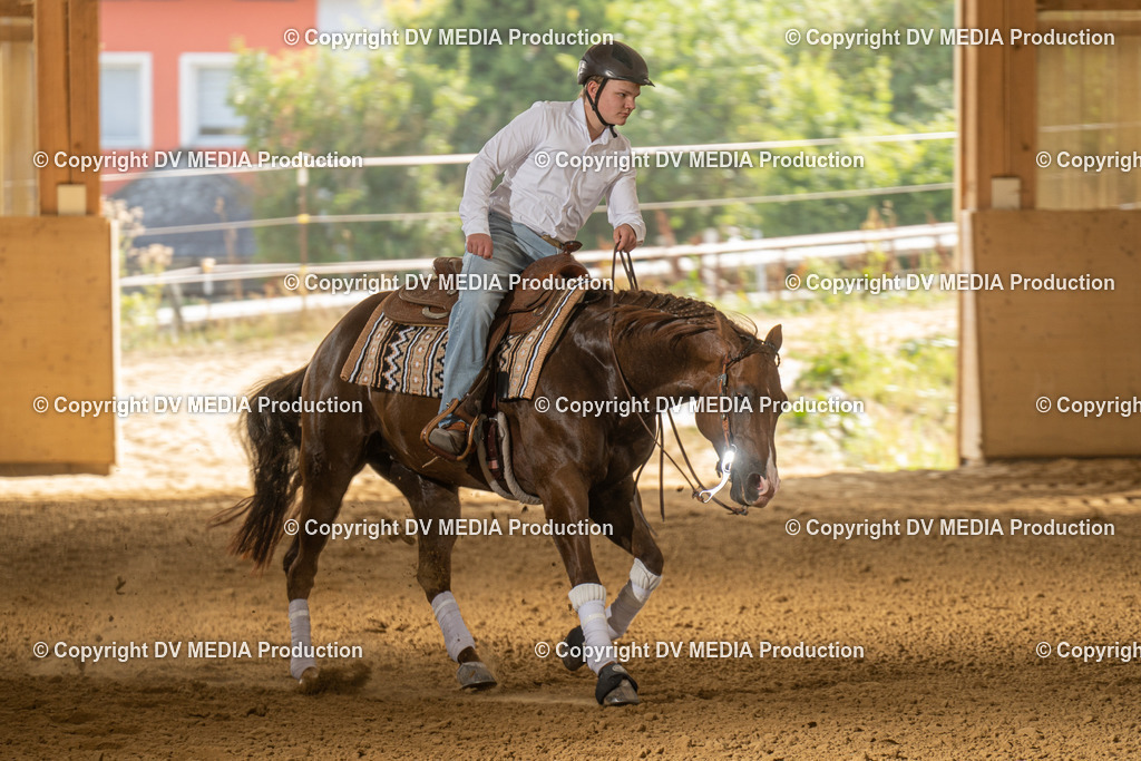 LAU01758 | dv-media-shop - Realisiert mit Pictrs.com