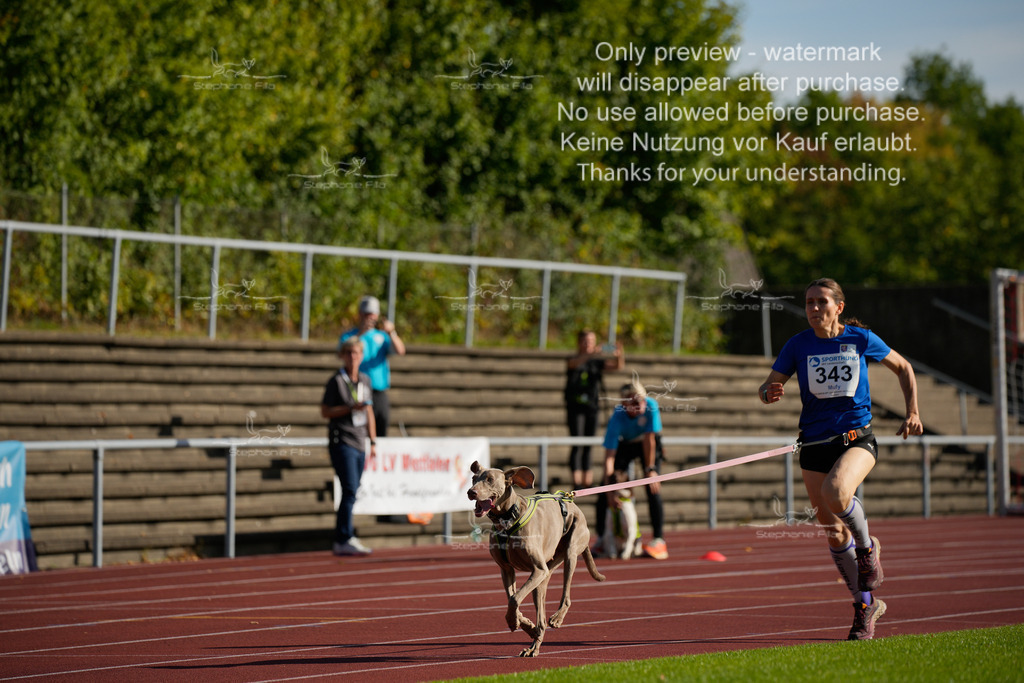Sonntag_Staffel (51 von 336) | stephaniefillaphotographie - Realisiert mit Pictrs.com