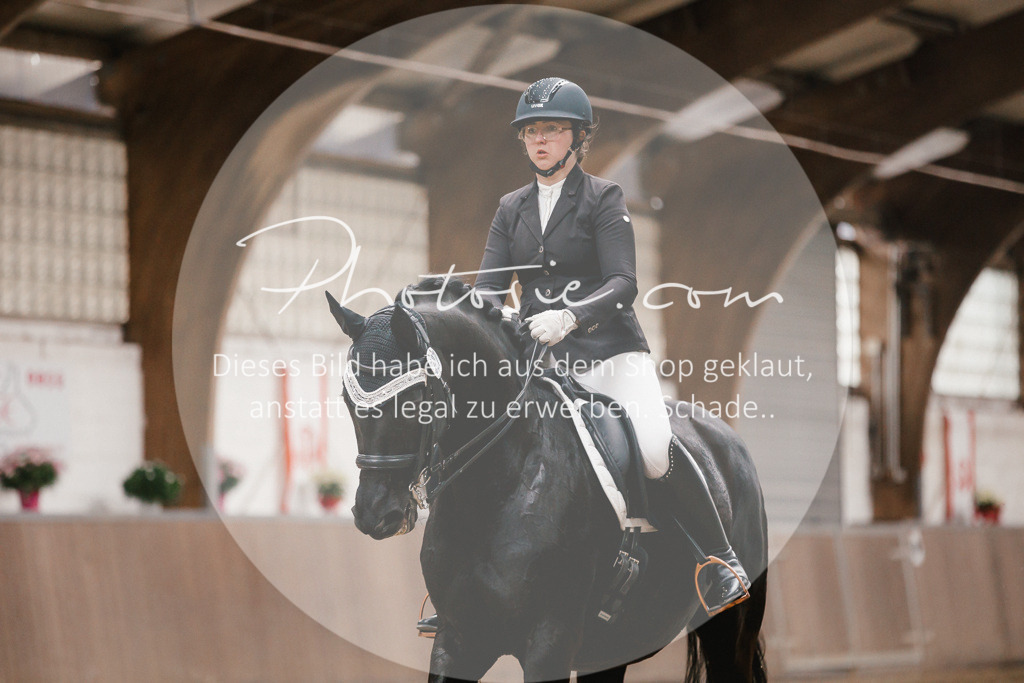 3I6A8361 | Stimmungsvolle Portraits und Reitsportfotografie im Ruhrgebiet und im Münsterland.

Pferdefotografie, Hundefotografie, Tierfotografie, Reportagen, Portraits von Tier und Mensch, Turnierfotografie in Bochum, Recklinghausen, Marl, Haltern am See, Dülmen.. - Realisiert mit Pictrs.com