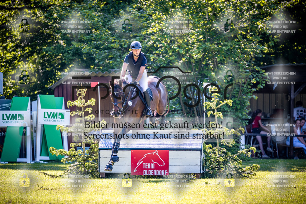 2026-05 - Melle Oldendorf-3-0066 | Entdecke hochwertige Reitturnierfotos von Foto Oger. Professionell, emotional und authentisch – jetzt Lieblingsmomente im Shop bestellen.Deutschlandweite Turnierfotografie. - Realisiert mit Pictrs.com