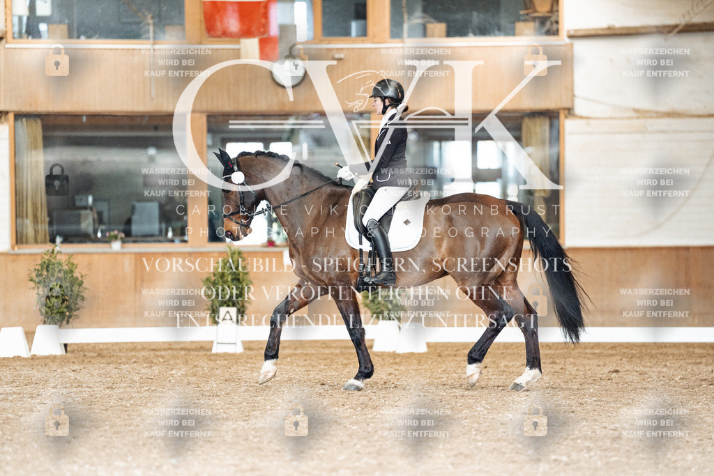 CK901916 | Turnierfotografie Pferdefotografie Trier Rheinland-Pfalz Pferdesport Reitsport Tierfotografie Sportfotografie Pferdevideo Pferdevideografie Equestrianvideography equestrianphotography  - Realisiert mit Pictrs.com