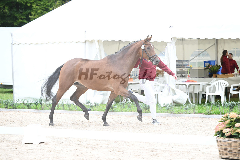 Kat-Nr. 5 Caida_Arzt_49220833 | hf-fotografie - Realisiert mit Pictrs.com