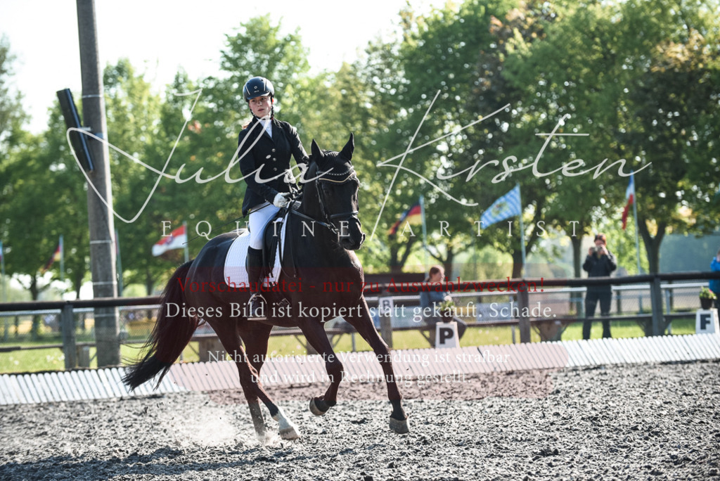 DSC_8348 | Pferde- und Turnierfotografie in Westsachsen. Pferdeportraits, Auftragszeichnungen und intuitive Kunst.