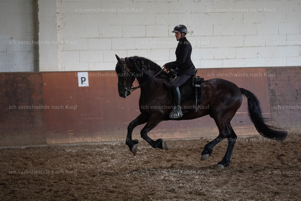 WM_COW_132_SinaFilmArt_IN04919 | working equitationturnier fotograf videograf stoibphotography marixx film working equitation deutschland reitsport turnierfotografie eventfotografie equestrian events