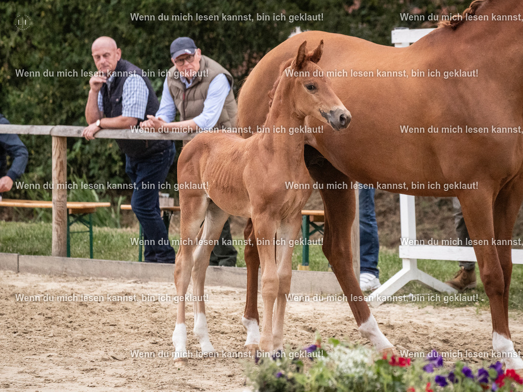 A10I7286 | photographylinaismer - Realisiert mit Pictrs.com