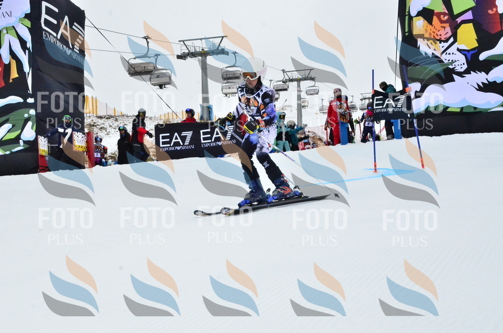 _ELE3141 | holidayphoto