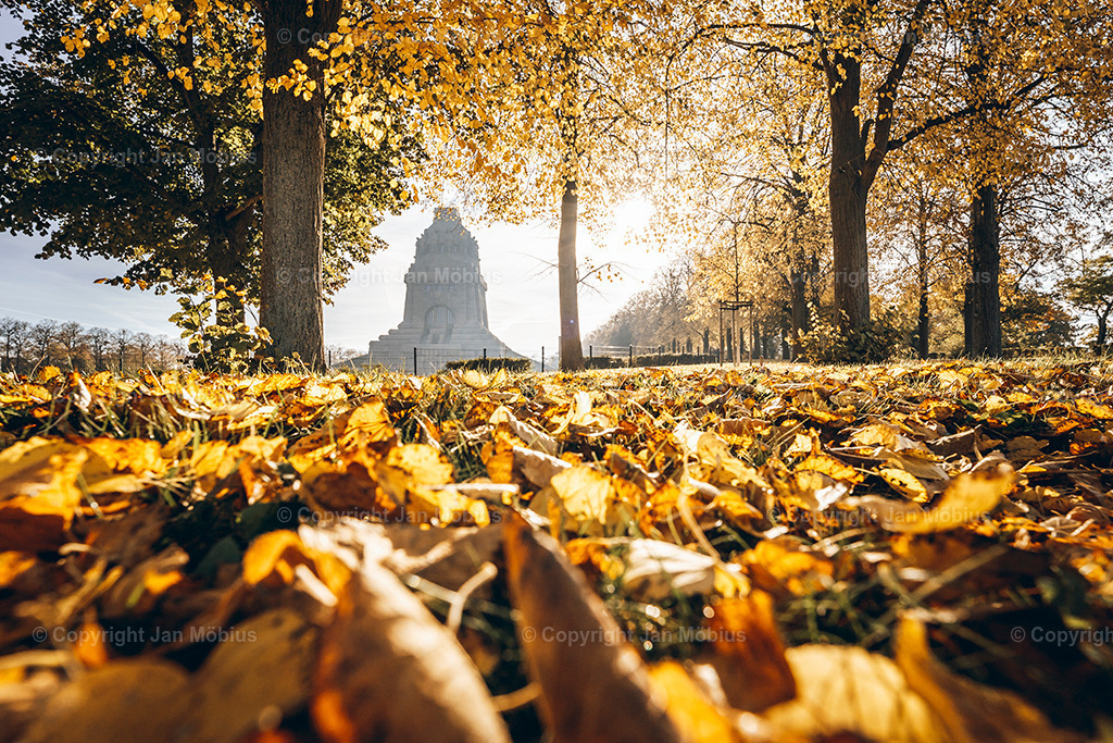 _DSC7938 | Leipzig Wandbilder Drucke Prints Leinwand Stadtmotive Leipzig Fotosdruck Kunstdrucke Bilder Leipzig Stadtansichten Acrylglasbilder Leipzig Wanddeko Fine Art Prints Wandbilder Büro Leipzig Bilder Praxis Zuhause Bilderdruck Poster Posterlounge Kunstdrucke - Realisiert mit Pictrs.com