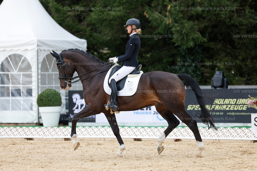 3-147-Dressur M_-StoibPH-2373 | working equitationturnier fotograf videograf stoibphotography marixx film working equitation deutschland reitsport turnierfotografie eventfotografie equestrian events