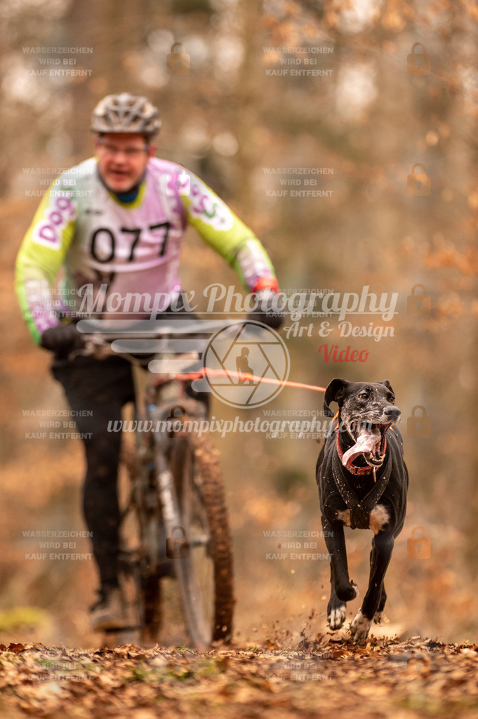 AKM_ST_2023_SAM_Bike-69 | PayLife
