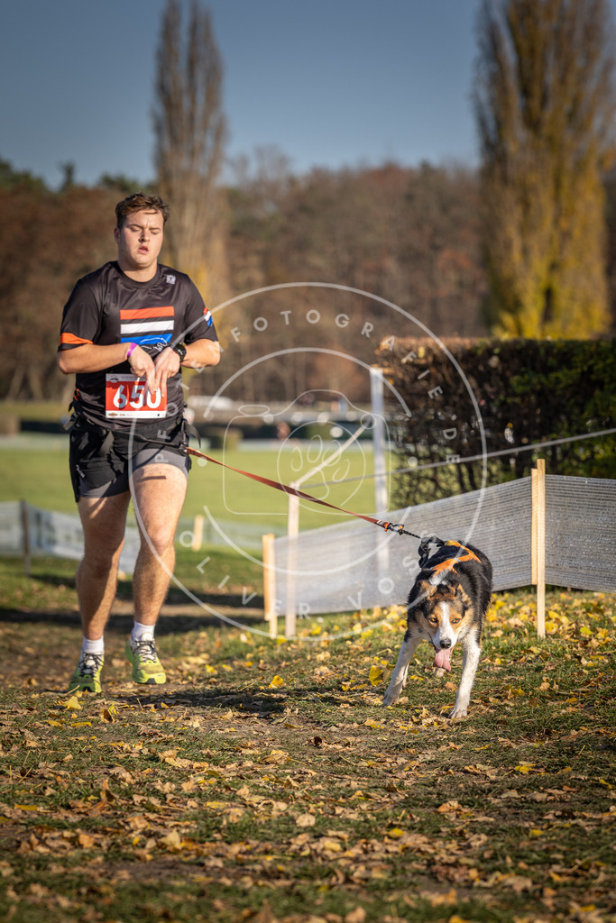 CaniXpix_DV3A0513 | Hundefotografie, Tierfotograf, Pfotenfotografie, Fotoshooting Hund, Hunde Portrait, Hundesport, Hundeportraits, Heideshooting, Hunde, Sportfotograf, Hundefotograf, Turnierhundsport, THS,  - Realisiert mit Pictrs.com