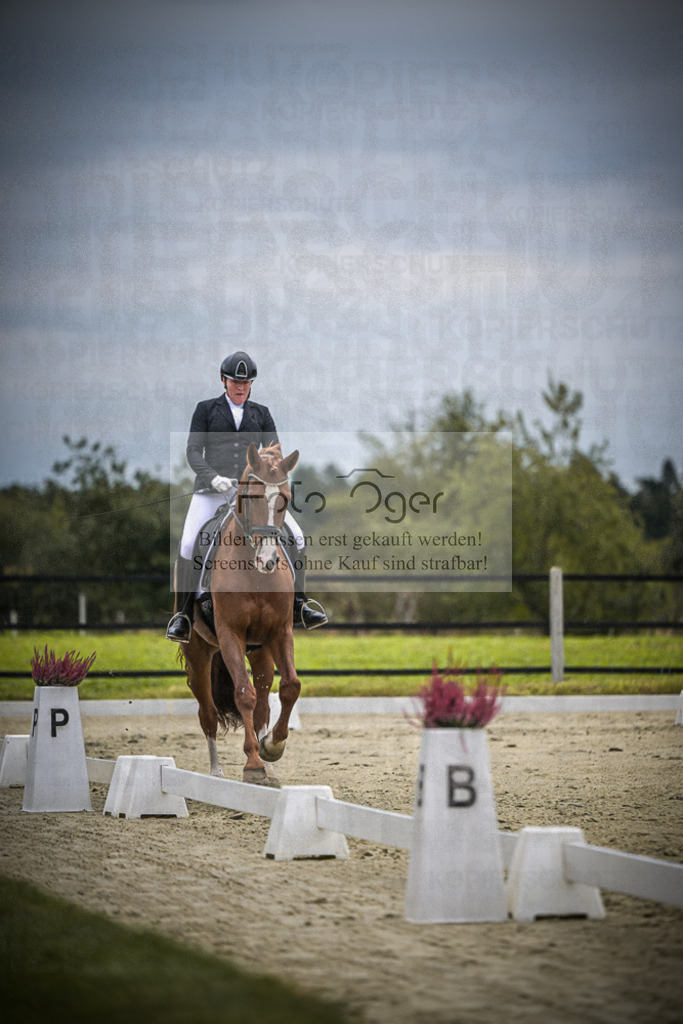 DOS_0997 | Entdecke hochwertige Reitturnierfotos von Foto Oger. Professionell, emotional und authentisch – jetzt Lieblingsmomente im Shop bestellen.Deutschlandweite Turnierfotografie. - Realisiert mit Pictrs.com