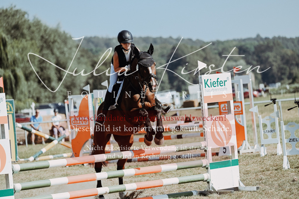 DSC_9556 | Pferde- und Turnierfotografie in Westsachsen. Pferdeportraits, Auftragszeichnungen und intuitive Kunst.