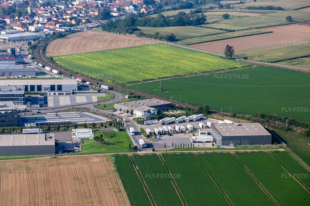 Luftbild: Industriegebiet Im Speyerer Tal mit Markthalle 5 und Resinnovation GmbH in Rülzheim im Bundesland Rheinland-Pfalz in Deutschland. – Foto: IMG_117266.jpg vom 25.08.2019 durch Werner Riehm/FLY-FOTO.de – Auflösung des Originals: 5472 x 3648 px – TOMSLOT88 * Provider – der resinnovation GmbH - Wir sind das Kunstharz