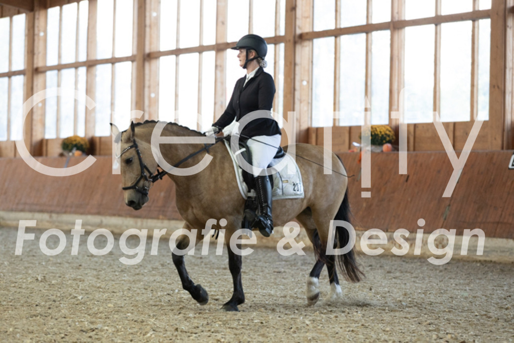 IMG_5495 | Creatify Fotografie