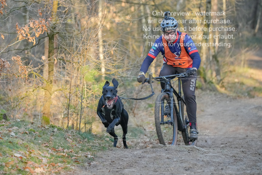 Sa_Bike-223 | stephaniefillaphotographie - Realisiert mit Pictrs.com