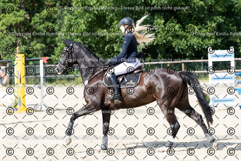 CL5A6600 | Emilia Reinking Fotografie - Realisiert mit Pictrs.com