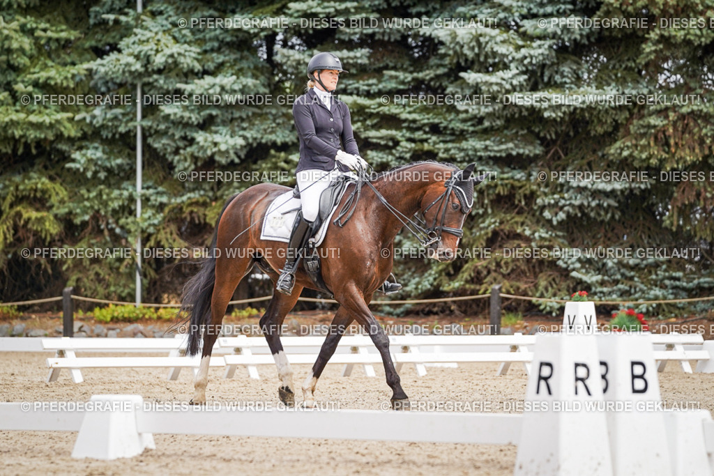 DSC03783 | Pferdegrafie