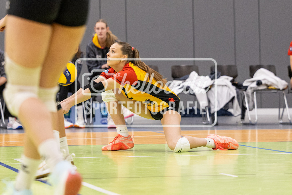 Volleyball I Frauen I Saison 2025-2026 I 2. Bundesliga Nord I 15. Spieltag I VCO Münster - VC Osnabrück I 25.01.2026-103 | Lisa Günther (2, VCO Münster) - Realisiert mit Pictrs.com