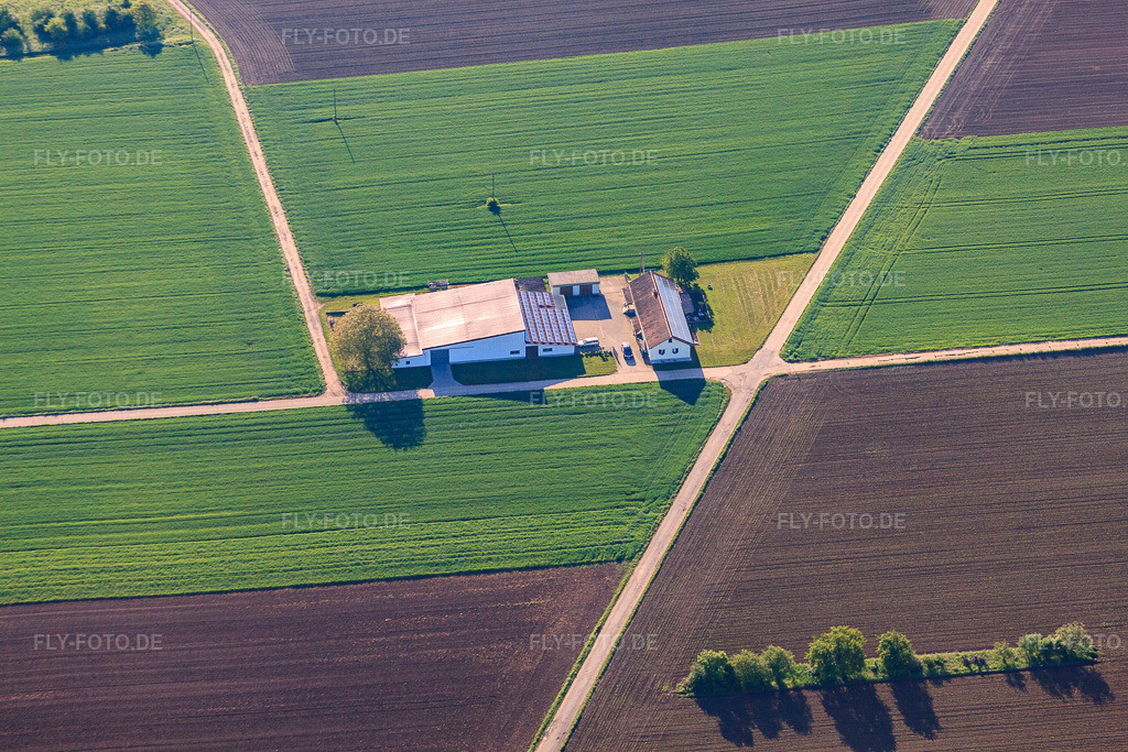 Luftbild: Aussiedlerhof Christian Wahl Landwirtschaft und Weinbau in Billigheim-Ingenheim im Bundesland Rheinland-Pfalz in Deutschland. Foto: IMG_64757.jpg vom 04.05.2014 durch Werner Riehm/FLY-FOTO.deAuflösung des Originals: 4752 x 3168 px