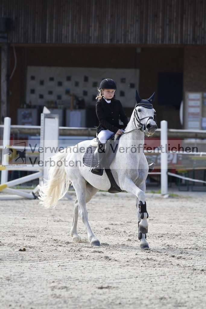 _MG_3181 | equestrian-live-com