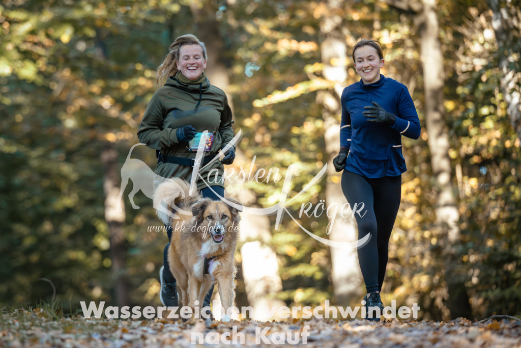 1027_ZZ99974 | kk-dogfotos