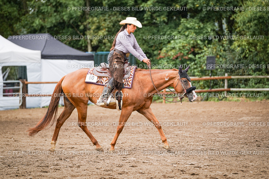 DSC07995 | Pferdegrafie